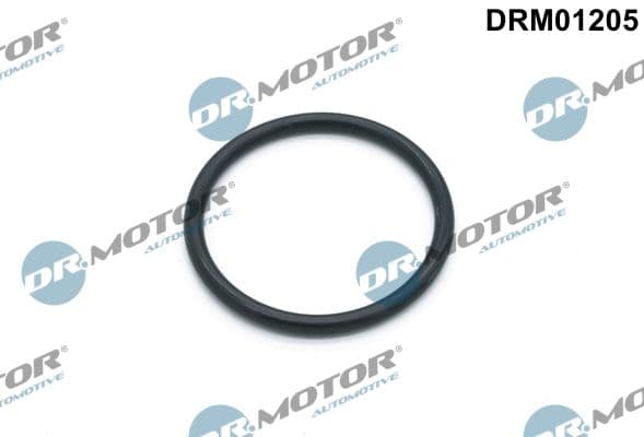 Blīve, Ūdenssūknis Dr.Motor Automotive DRM01205 1