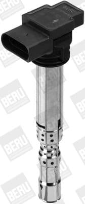 Aizdedzes spole BorgWarner (BERU) ZSE031 3