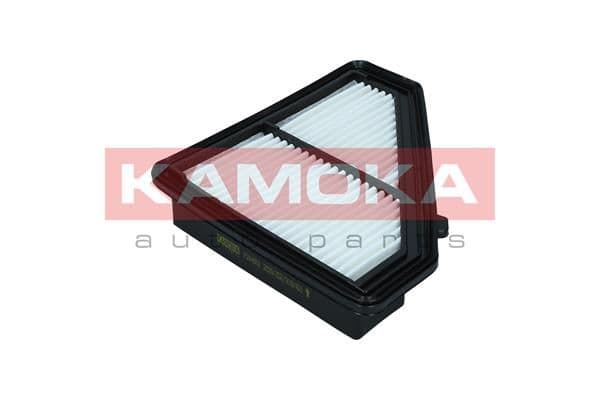 Gaisa filtrs KAMOKA F244901 1