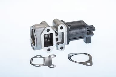 Izpl. gāzu recirkulācijas vārsts BorgWarner (Wahler) 710964R 1