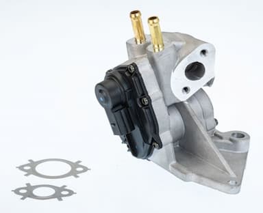 Izpl. gāzu recirkulācijas vārsts BorgWarner (Wahler) 710937D 1