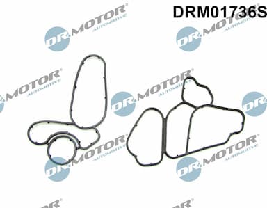 Blīvju komplekts, Eļļas radiators Dr.Motor Automotive DRM01736S 1