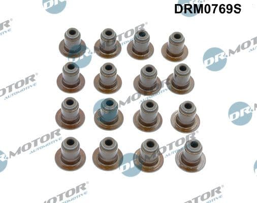 Blīvju komplekts, Vārsta kāts Dr.Motor Automotive DRM0769S 1