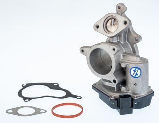 Izpl. gāzu recirkulācijas vārsts BorgWarner (Wahler) 710931R 1