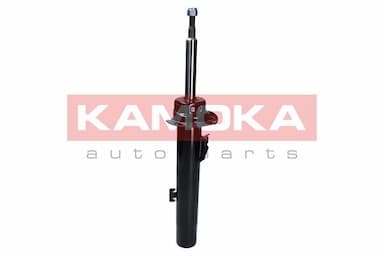 Amortizators KAMOKA 2000295 1