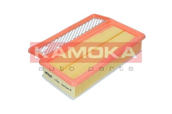 Gaisa filtrs KAMOKA F253001 1