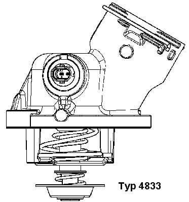 Termostats, Dzesēšanas šķidrums BorgWarner (Wahler) 4833.100D 1