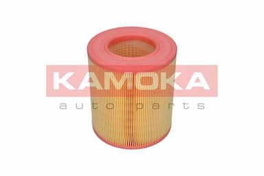 Gaisa filtrs KAMOKA F236701 3