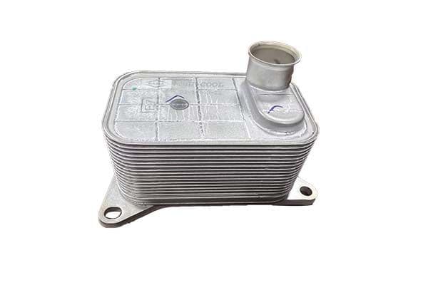 Eļļas radiators, Motoreļļa Borsehung B10877 1