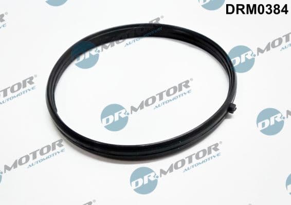 Blīve, Ieplūdes kolektors Dr.Motor Automotive DRM0384 1