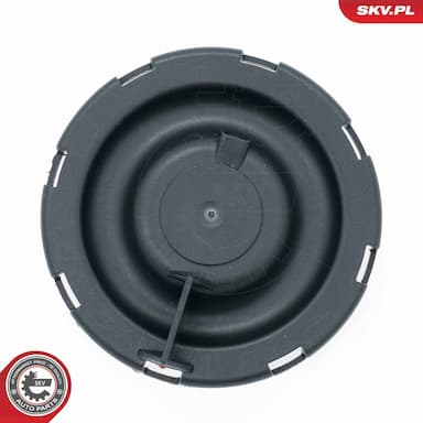 Membrāna, Kartera ventilācija ESEN SKV 31SKV260 3