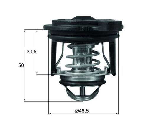 Termostats, Dzesēšanas šķidrums MAHLE TI 246 50 1