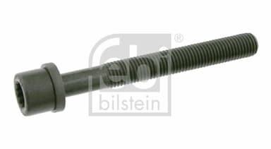 Cilindru galvas skrūve FEBI BILSTEIN 06666 1