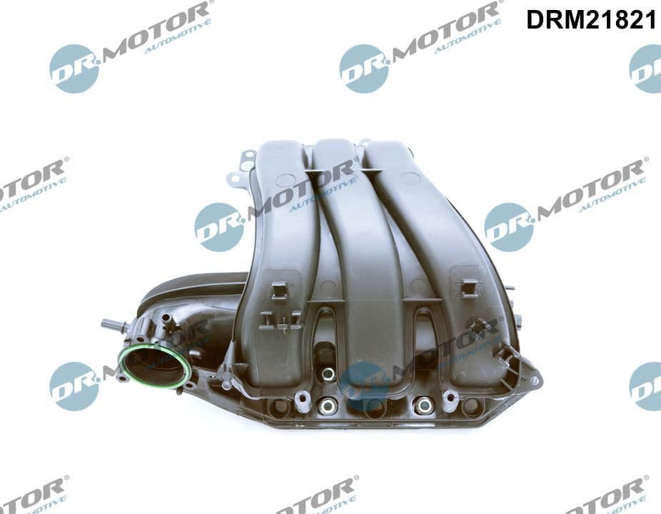 Ieplūdes caurules modulis Dr.Motor Automotive DRM21821 1