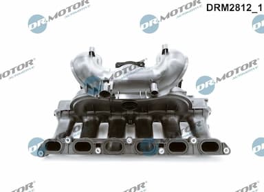 Ieplūdes caurules modulis Dr.Motor Automotive DRM2812 2