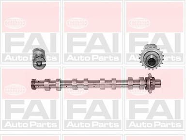 Sadales vārpsta FAI AutoParts C267 1