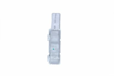 Siltummainis, Salona apsilde NRF 54341 2