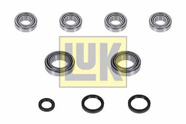 Remkomplekts, Pārnesumkārba Schaeffler LuK 462 0386 10 1