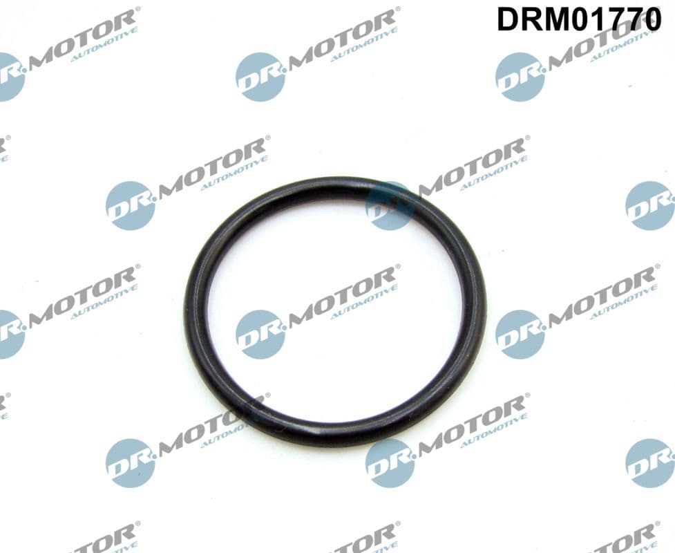 Blīve, Ieplūdes kolektors Dr.Motor Automotive DRM01770 1