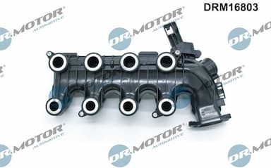 Ieplūdes caurules modulis Dr.Motor Automotive DRM16803 2