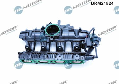 Ieplūdes caurules modulis Dr.Motor Automotive DRM21824 2