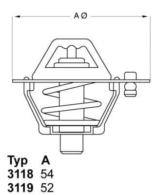 Termostats, Dzesēšanas šķidrums BorgWarner (Wahler) 3119.82 1