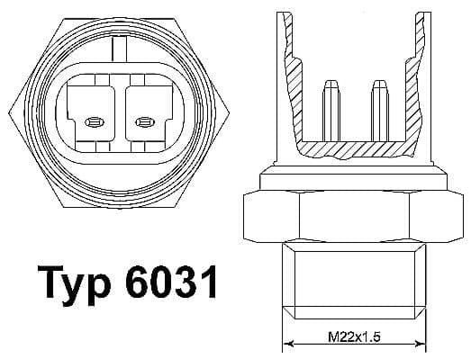 Termoslēdzis, Radiatora ventilators BorgWarner (Wahler) 6031.105D 1