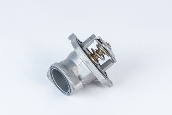 Termostats, Dzesēšanas šķidrums BorgWarner (Wahler) 4832.87D 1