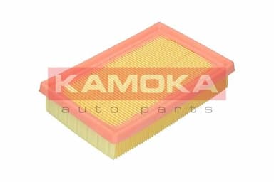 Gaisa filtrs KAMOKA F250201 3