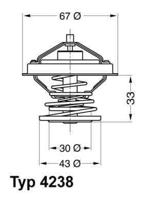 Termostats, Dzesēšanas šķidrums BorgWarner (Wahler) 4238.92D 1