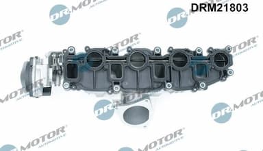 Ieplūdes caurules modulis Dr.Motor Automotive DRM21803 2