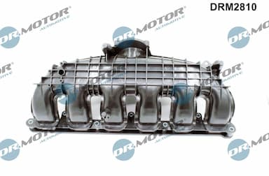 Ieplūdes caurules modulis Dr.Motor Automotive DRM2810 2