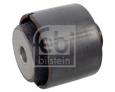 Piekare, Diferenciālis FEBI BILSTEIN 177131 2