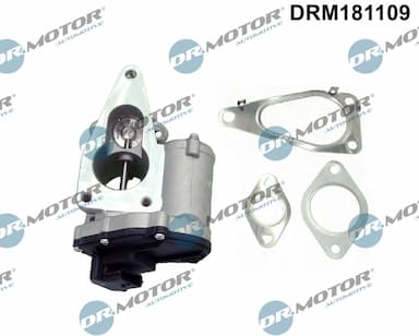 Izpl. gāzu recirkulācijas vārsts Dr.Motor Automotive DRM181109 1