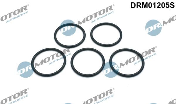 Blīvju komplekts, Ūdenssūknis Dr.Motor Automotive DRM01205S 1