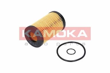 Eļļas filtrs KAMOKA F105301 1