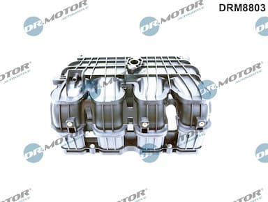 Ieplūdes caurules modulis Dr.Motor Automotive DRM8803 1