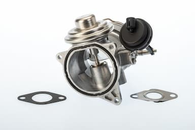 Izpl. gāzu recirkulācijas vārsts BorgWarner (Wahler) 7650D/1 1