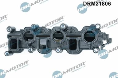 Ieplūdes caurules modulis Dr.Motor Automotive DRM21806 3