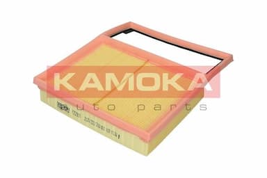 Gaisa filtrs KAMOKA F252901 3