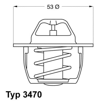 Termostats, Dzesēšanas šķidrums BorgWarner (Wahler) 3470.89D50 1