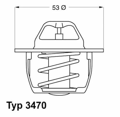 Termostats, Dzesēšanas šķidrums BorgWarner (Wahler) 3470.89D50 1