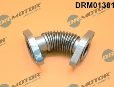 Cauruļvads, EGR vārsts Dr.Motor Automotive DRM01381 1