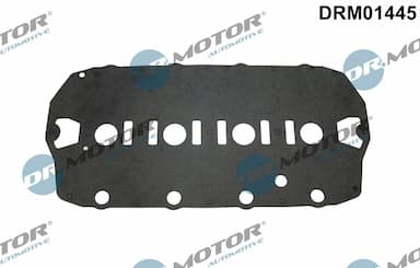 Blīve, Motora bloka galvas vāks Dr.Motor Automotive DRM01445 1