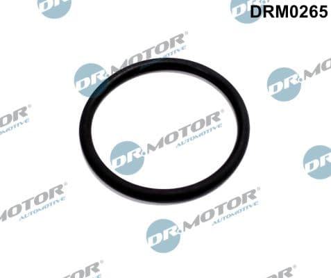 Blīve, EGR vārsta cauruļvads Dr.Motor Automotive DRM0265 1