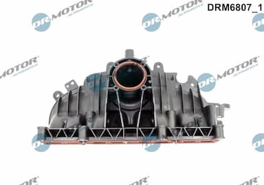 Ieplūdes caurules modulis Dr.Motor Automotive DRM6807 2