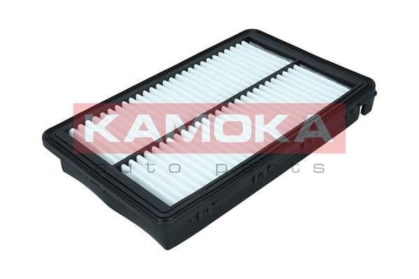 Gaisa filtrs KAMOKA F251901 1