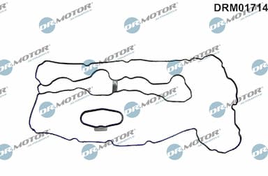 Blīve, Motora bloka galvas vāks Dr.Motor Automotive DRM01714 1