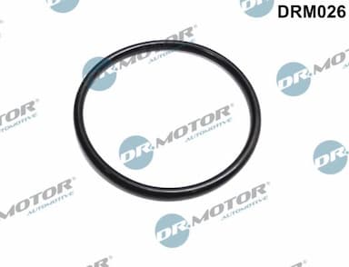 Blīve, Droseļvārsta īscaurule Dr.Motor Automotive DRM026 1