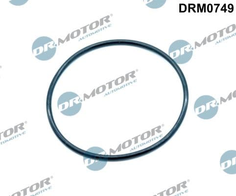 Blīve, Izplūdes gāzu recirkulācijas vārsts Dr.Motor Automotive DRM0749 1